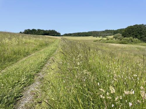 Lieserpfad Etappe 1: Boxberg - Daun