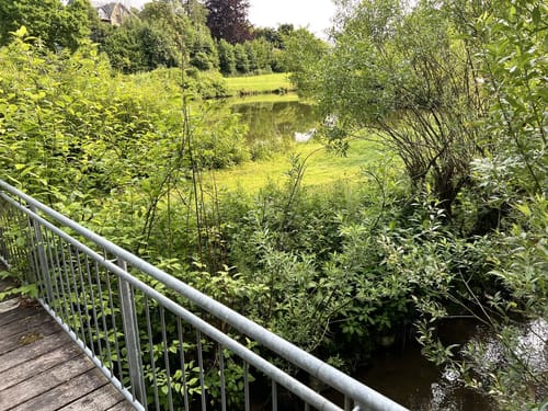 WesterwaldSteig Etappe 12: Weyerbusch - Flammersfeld