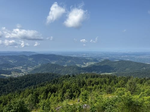 Hornisgrinde Rundweg über Ochsenstall