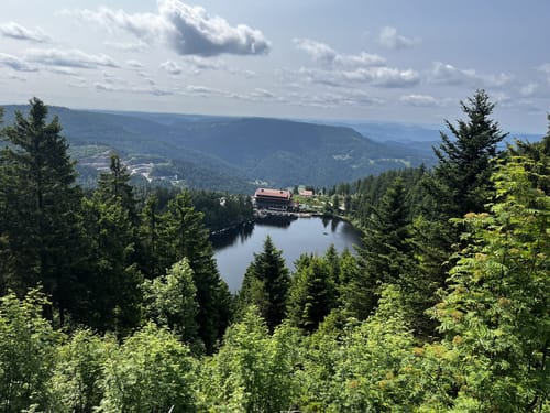 Hornisgrinde Rundweg über Ochsenstall