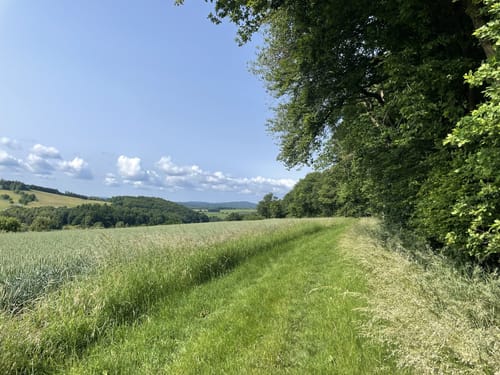 Lieserpfad Etappe 1: Boxberg - Daun