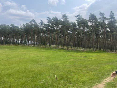 Rüster Mark Rundwanderweg A6