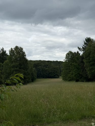 Mespelbrunn Nordic-Walking 2: Rote Tour
