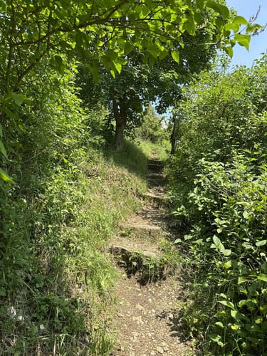 HOCHGEHBERGE I "hochgehgrenzt" (Premiumwanderweg)