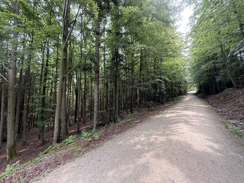 Geißkopf-Tour