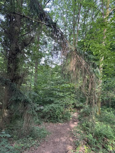 Hüttersdorfer Rundweg