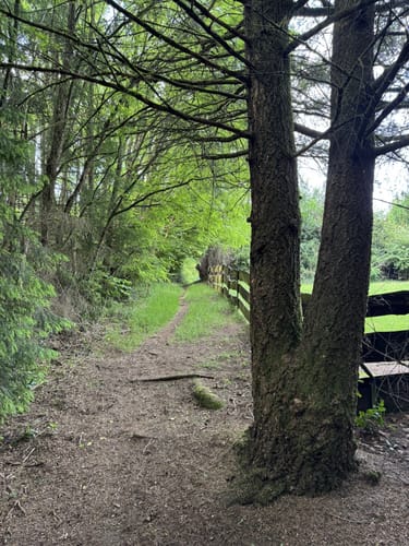 Hüttersdorfer Rundweg