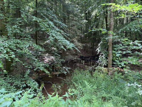 Hüttersdorfer Rundweg