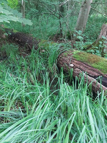 Rund um Bad Rothenfelde