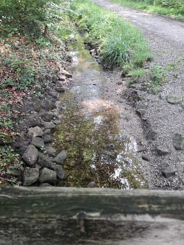 Rund um Bad Rothenfelde