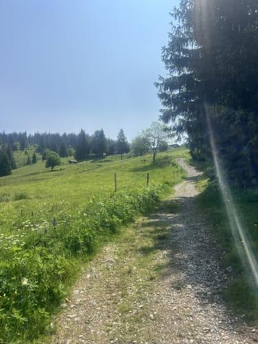 Hofeck - Krunkelbachhütte