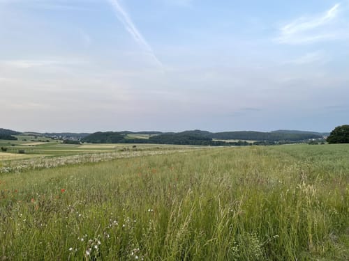 Spazierrundweg Um den Berg