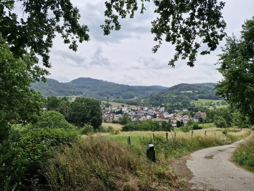 Rundwanderweg Reichenbach 4: Hohenstein-Weg