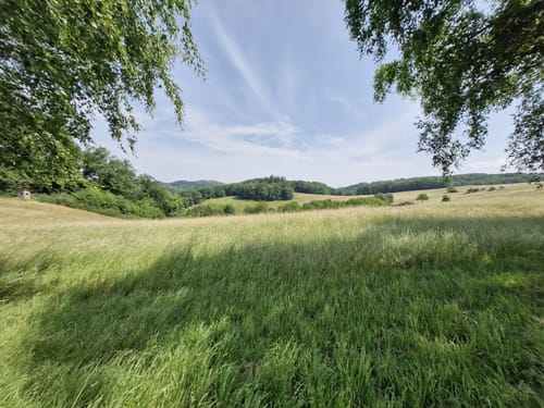 Rundwanderweg Reichenbach 4: Hohenstein-Weg
