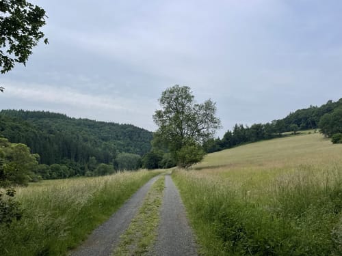 Lieserpfad Etappe 2: Daun - Manderscheid