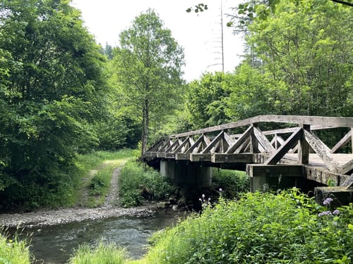 Lieserpfad Etappe 2: Daun - Manderscheid