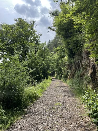 Lieserpfad Etappe 2: Daun - Manderscheid