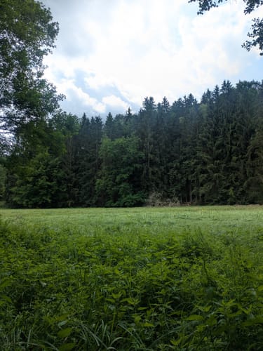 Deutschritter-Tour (Premiumwanderweg)