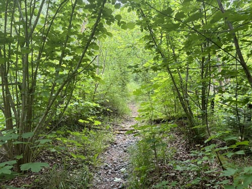 Röhrensteig US11