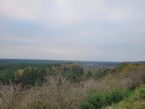 Tennenloher Forst - Kreuzeiche - Kugelfangwall Rundweg
