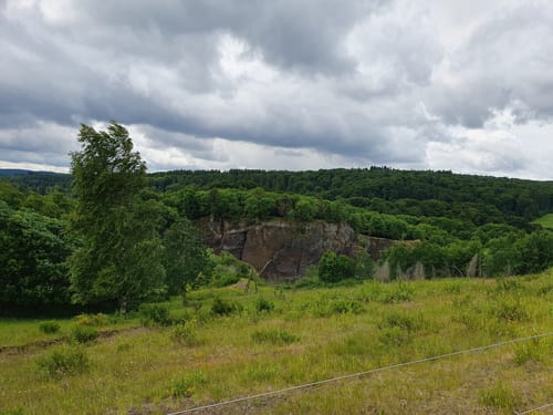 Von Steffeln zum Eichholzmaar