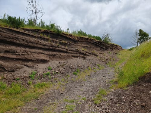 Von Steffeln zum Eichholzmaar