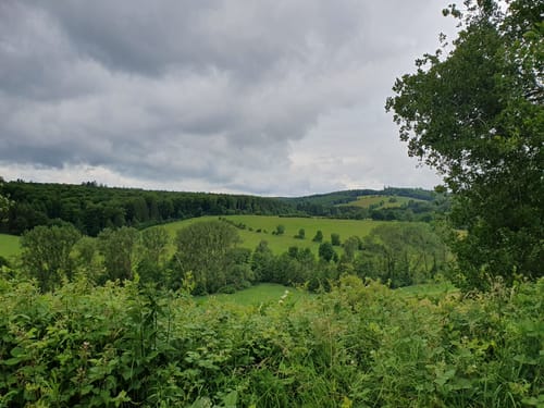 Von Steffeln zum Eichholzmaar
