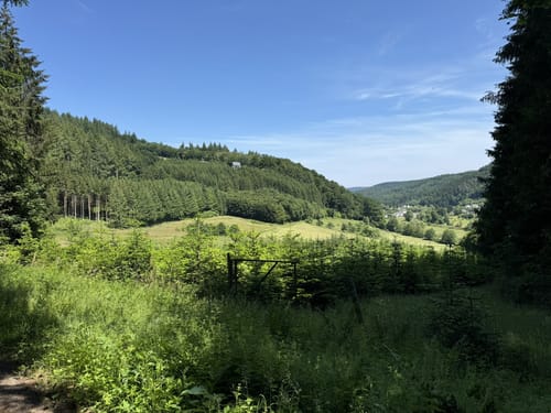 Durch die Kyllburg Wandereifel