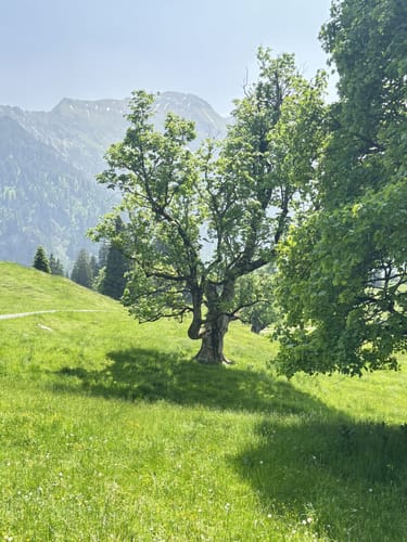 Vom Giebelhaus zur Schwarzenberghütte