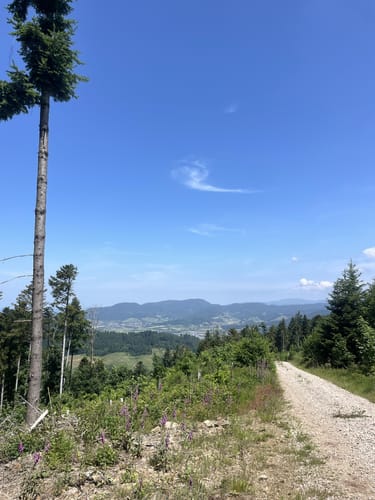 Bermersbach Runde