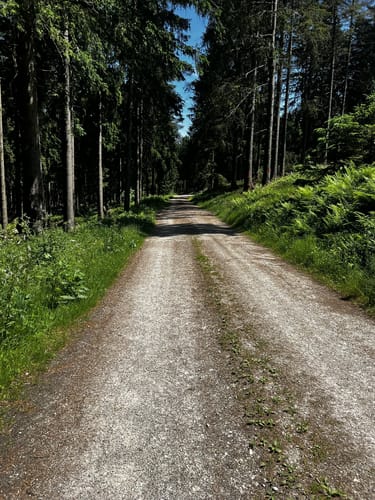 Ölmühlentour (Traumschleife)