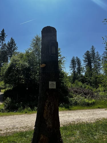Ölmühlentour (Traumschleife)