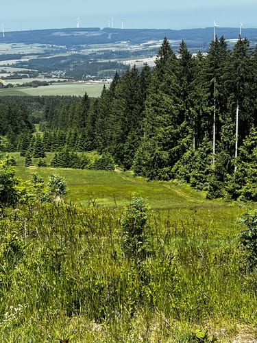 Ölmühlentour (Traumschleife)