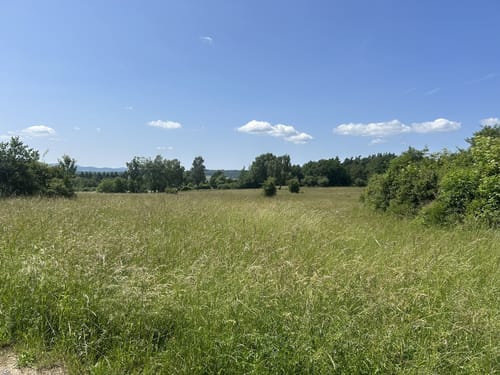 Fahrradtour Wehrheim - Steinkopf