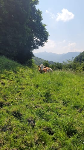 Wanderweg 26 - Neubeuern