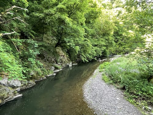 Lieserpfad Etappe 3: Manderscheid - Wittlich