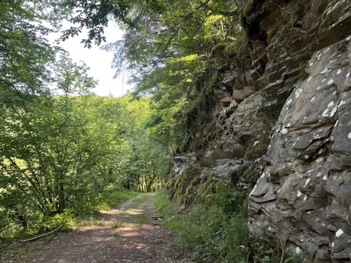Lieserpfad Etappe 3: Manderscheid - Wittlich