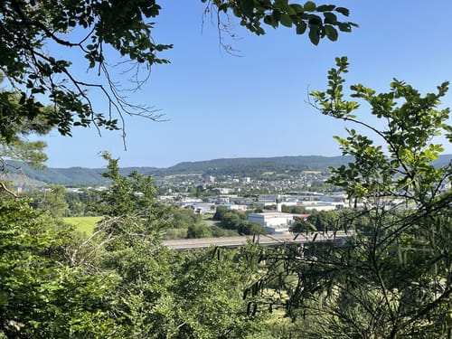 Lieserpfad Etappe 4: Wittlich - Lieser