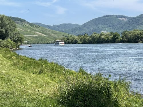 Lieserpfad Etappe 4: Wittlich - Lieser
