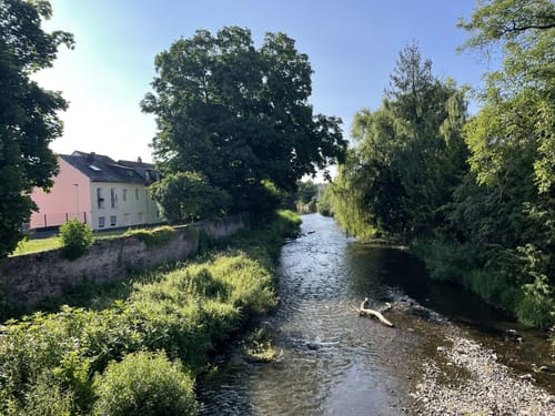 Lieserpfad Etappe 4: Wittlich - Lieser
