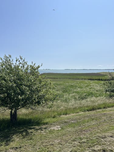 Fisch-Rundwanderung in Maasholm