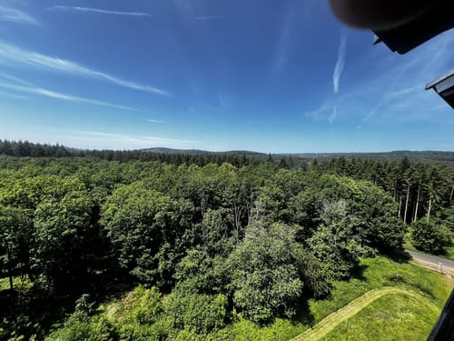 Zauberwald (Premiumspazierwanderweg)