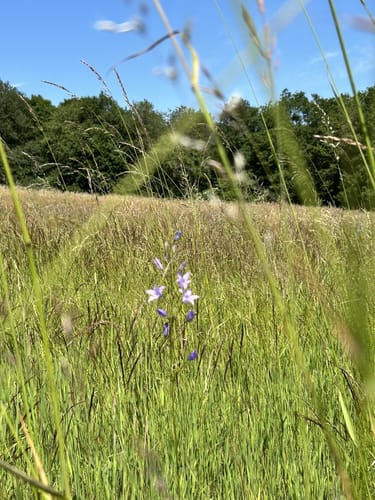 Von der Edelsteinmine durch das Idarbachtal