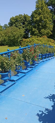 Fürst-Pückler-Park und Bergpark ab Bad Muskau