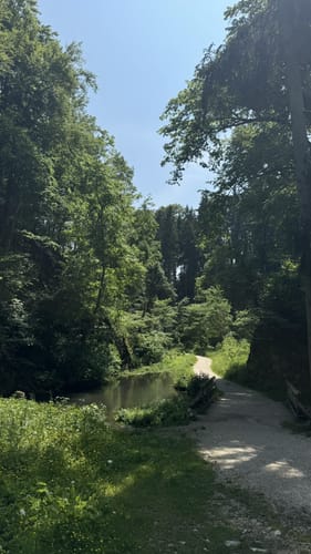 Hayingen - Wimsener Höhle - Schloss Ehrenfels
