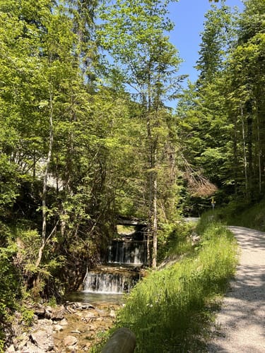 Von Oberwössen zur Feldlahn-Alm