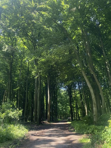 Longinusturm Rundweg A5