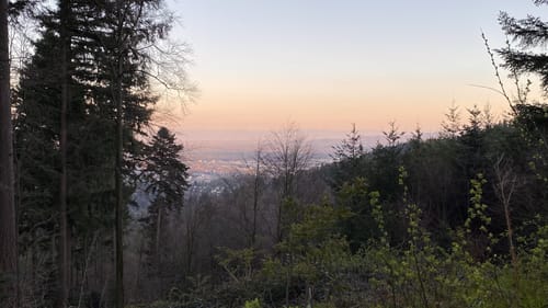 Kybfelsen ab Günterstal