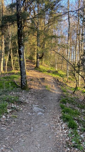 Kybfelsen ab Günterstal