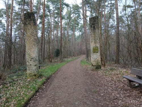 Mühlheimer Volkslauf (10 km)